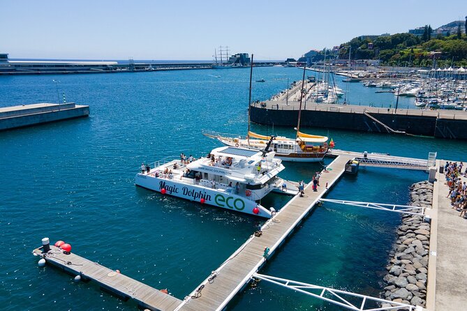 Eco-Friendly Catamaran Dolphin and Whale Watching - Practical Tips So You Enjoy Every Minute