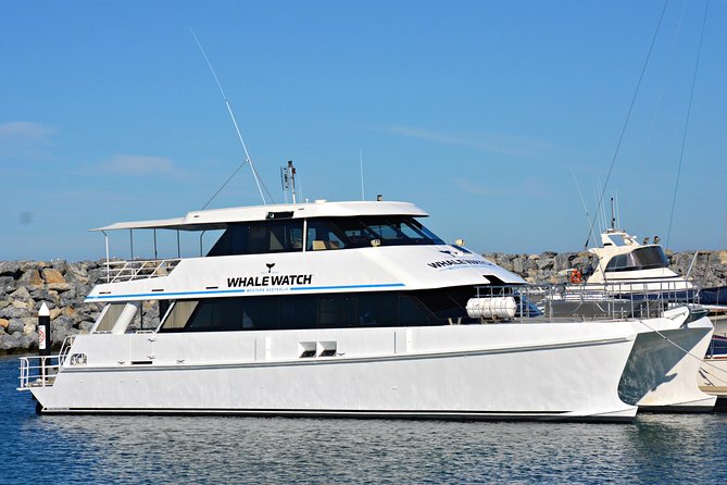 Educational Whale Watching Tour from Perth - Two hours in Geographe Bay: the Fremantle cruise rhythm
