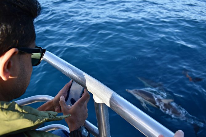 Educational Whale Watching Tour from Perth - Photos that save your memories (and your phone)