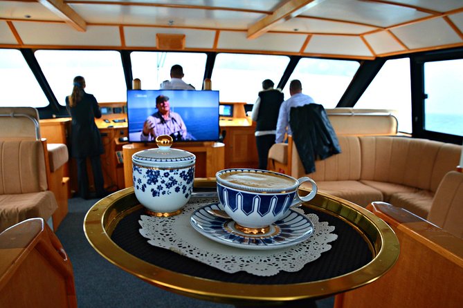 Educational Whale Watching Tour from Perth - Price and value check: is $68.14 worth it?