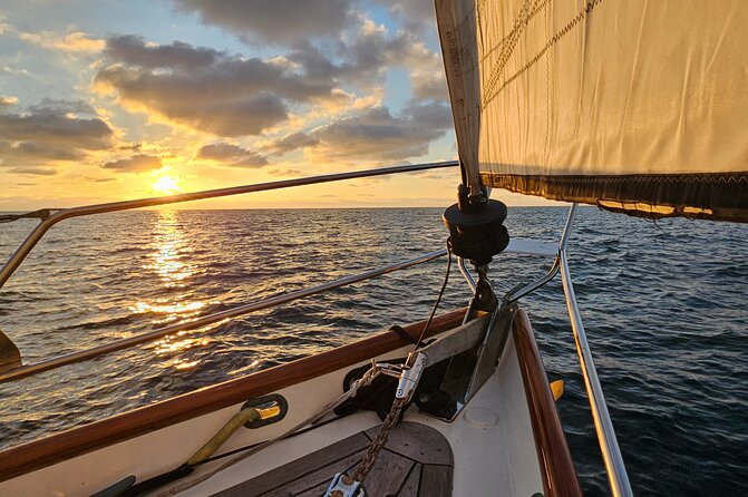 Experience Oceanside Sailing with Whales and dolphins! - Key Highlights You’ll Care About