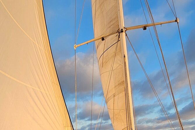 Experience Oceanside Sailing with Whales and dolphins! - Oceanside in Motion: What the 2 Hours Really Feels Like