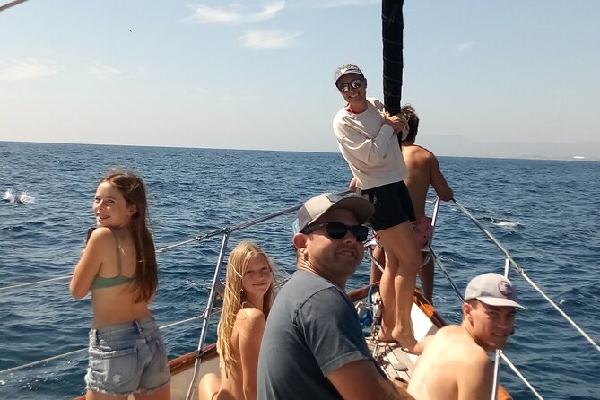Experience Oceanside Sailing with Whales and dolphins! - Meeting at 1395 N Harbor Dr: Getting Oriented Fast