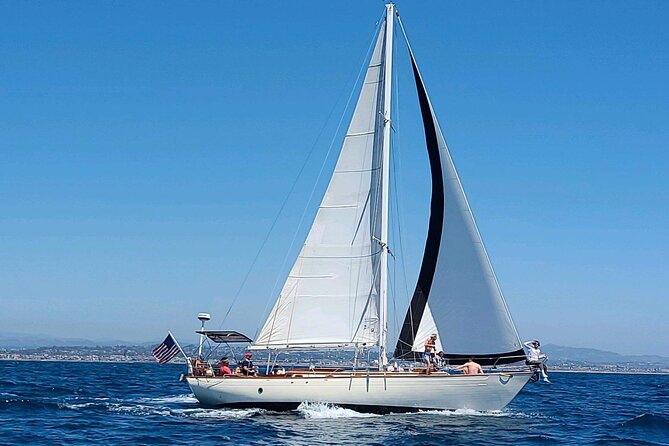 Experience Oceanside Sailing with Whales and dolphins! - Who Should Book This Sail With Whales and Dolphins?