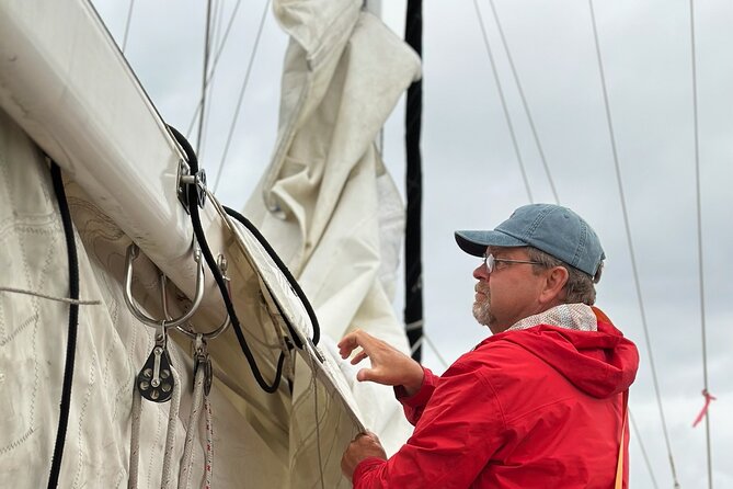 Experience Oceanside Sailing with Whales and dolphins! - When It’s Time to Decide: Should You Book?