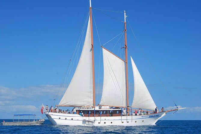 Fijian Islands and Snorkel Full-Day Whales Tale Cruise including Beach BBQ Lunch - Key things I’d plan around