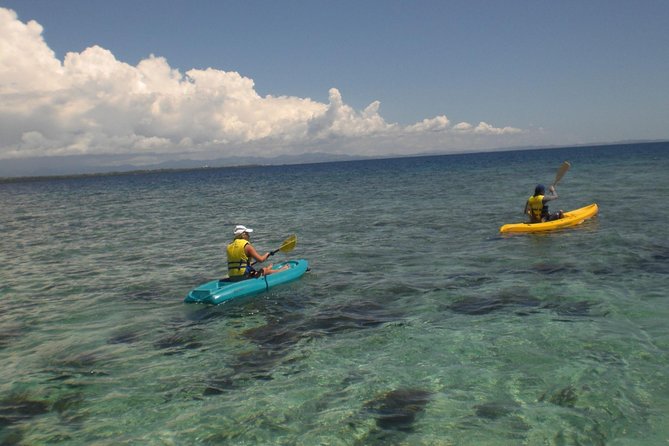 Fijian Islands and Snorkel Full-Day Whales Tale Cruise including Beach BBQ Lunch - Why the Whale’s Tale schooner day feels different in Fiji