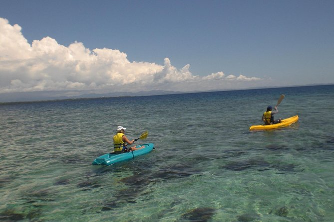 Fijian Islands and Snorkel Full-Day Whales Tale Cruise including Beach BBQ Lunch - Complimentary drinks: how the all-day service works in practice