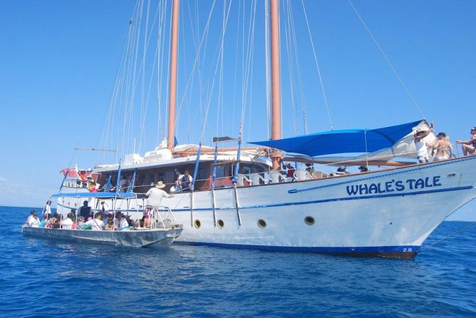 Fijian Islands and Snorkel Full-Day Whales Tale Cruise including Beach BBQ Lunch - Price and value: what $117.68 includes (and why it adds up)