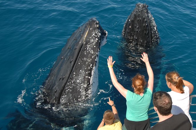 Fraser Island Whale Watch Encounter - Fraser Island Whale Watch: how Platypus Bay works from the water