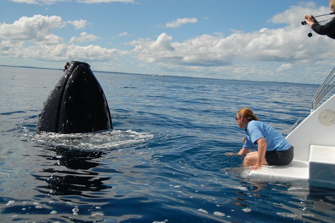 Fraser Island Whale Watch Encounter - K’gari (Fraser Island) scenery: why the travel time matters