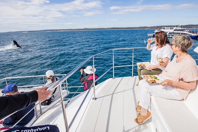 Freedom 3/4 Day Hervey Bay Premium Whale Watching Cruise - Key things I’d watch for before you go