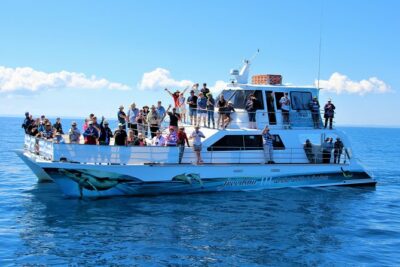 Freedom 3/4 Day Hervey Bay Premium Whale Watching Cruise - Setting out from Hervey Bay to the Great Sandy Marine Park