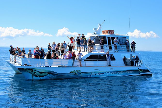 Freedom 3/4 Day Hervey Bay Premium Whale Watching Cruise - Setting out from Hervey Bay to the Great Sandy Marine Park