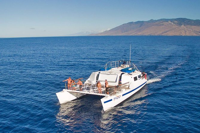 From Ma'alaea Harbor, Maui: Whale Watch Cruise Aboard Malolo - The Crew Experience: Safety-First, Friendly, and Straightforward