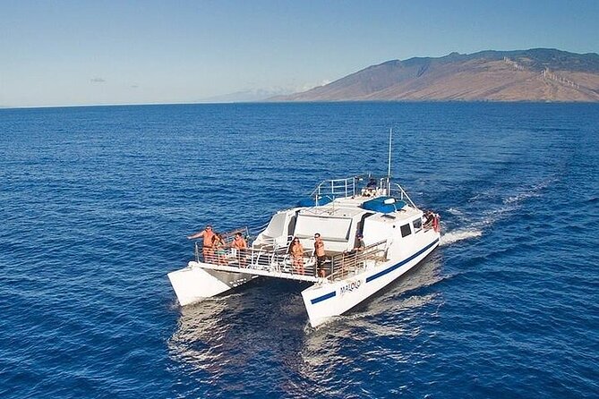 From Ma'alaea Harbor: Sunset Whale Watch Tour Aboard the Malolo - Key Takeaways Before You Go