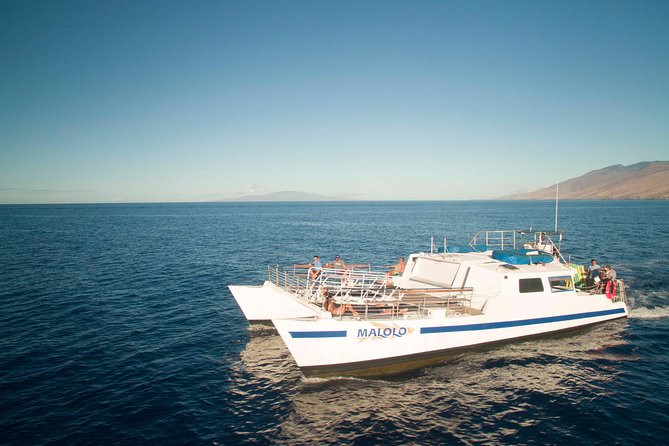 From Ma'alaea Harbor: Whale Watch Cruise Aboard the Malolo - Drinks, snacks, and the food strategy that keeps you comfortable