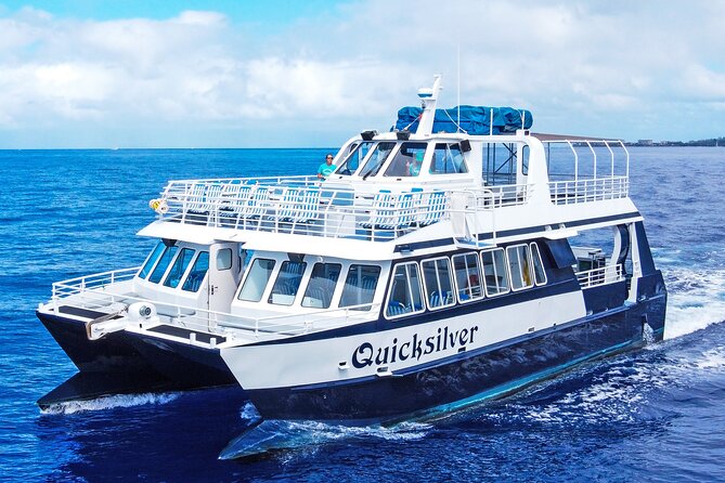 From Maalaea: Whale Watching Tour Aboard the Quicksilver - Quick hits before you board Quicksilver