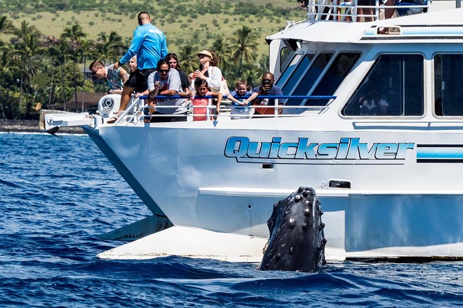 From Maalaea: Whale Watching Tour Aboard the Quicksilver - Leaving Ma’alaea: why this route makes sense for humpback whales