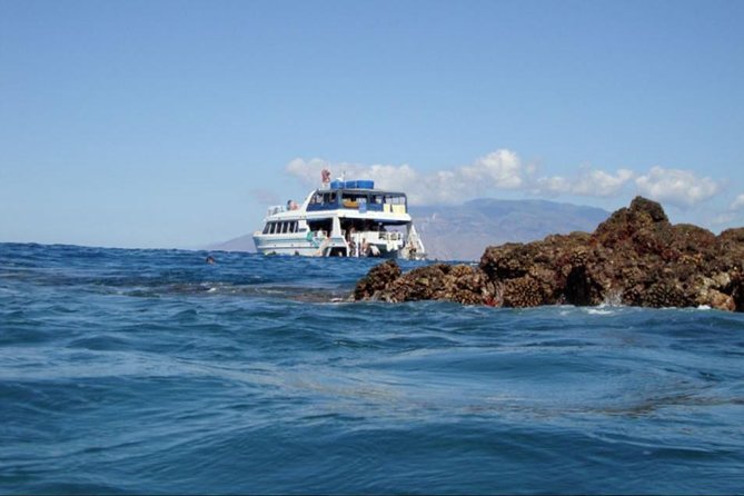 From Maalaea: Whale Watching Tour Aboard the Quicksilver - What the captain and crew commentary is really doing for you