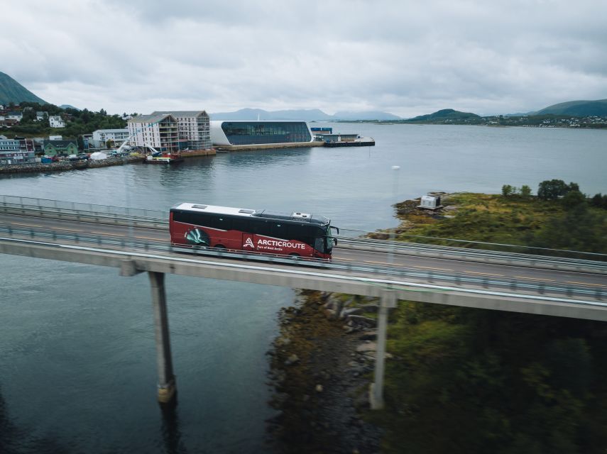 From Svolvær: Whale Watching Day Trip to Andenes - Quick hits before you go