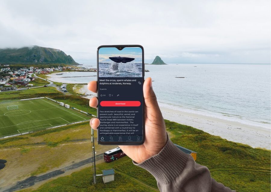 From Svolvær: Whale Watching Day Trip to Andenes - Price and Value: What $361 Covers