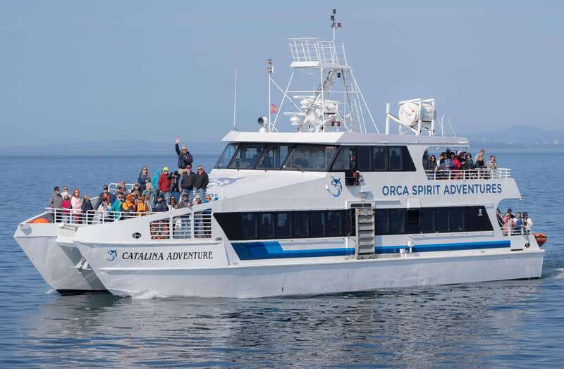 From Victoria: Whale Watching Trip on Covered Boat - Key things that make this Victoria whale watching trip worth it