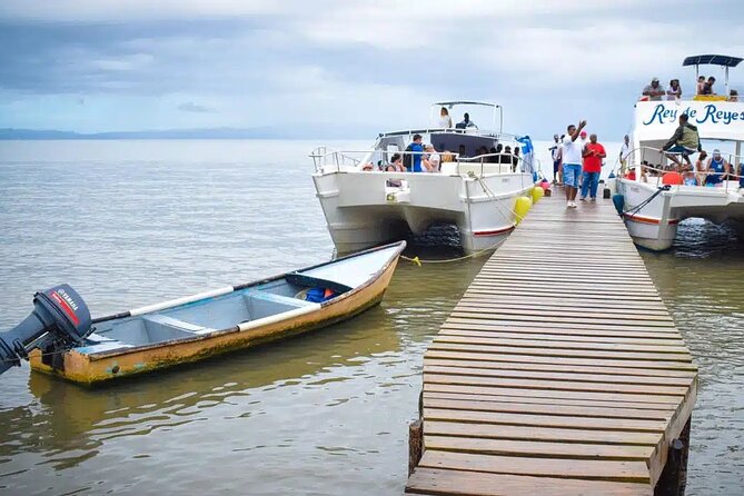 Full Day Bacardi Whale Watching - End Season March 30th - Value Check: Is $165 a Good Deal for This Day?