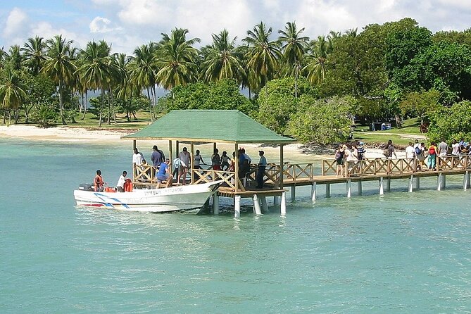 Full Day Bacardi Whale Watching - End Season March 30th - Who This Tour Suits Best (And Who Should Think Twice)