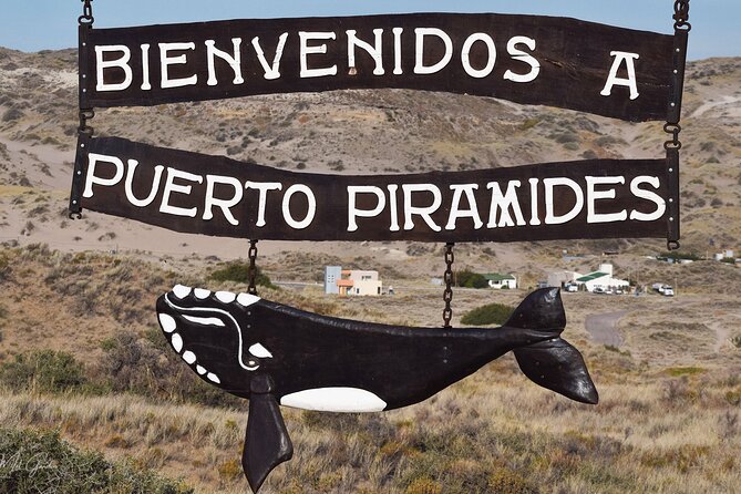 Full Day Peninsula Valdes Experience - optional Whale Watching - Stop 1: Centro De Visitantes Istmo Ameghino and the two-gulf viewpoint