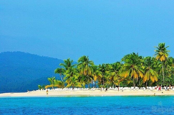Full-day Whale watching Tour in Samana Bay from Punta Cana - El Limón Waterfall (El Salto del Limon): ranch lunch, safari views, and the final wow