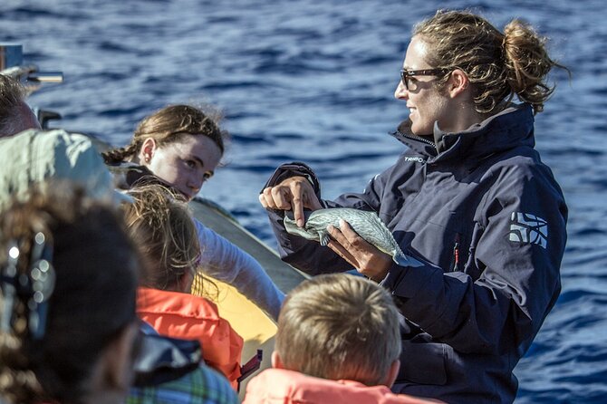 Full-Day Whales & The Princess Ring Islet (incl. Lunch) - The guides and vibe: professionalism with a human touch