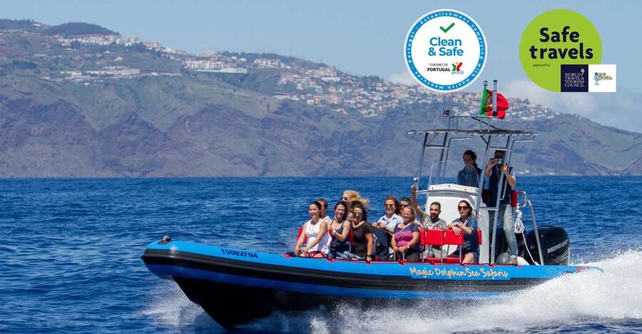 Funchal: Dolphin and Whale Watching Cruise - Meeting Magic Dolphin and Getting Ready for Offshore Madeira