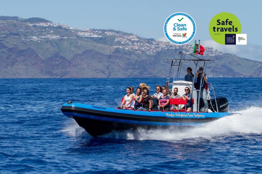 Funchal: Dolphin and Whale Watching Cruise - Why This Sea Safari Speedboat Reaches Wildlife Faster