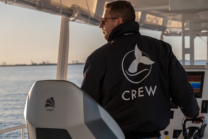 Gold Coast Whale Watching Cruise - 360-Degree Views: Why the Boat Size Improves Your Whale-Watching Odds
