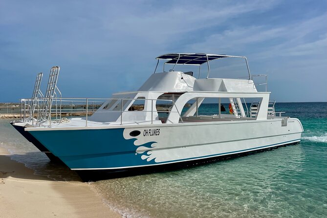 Grand Turk: Whale Watching - Who this Grand Turk whale watch is best for