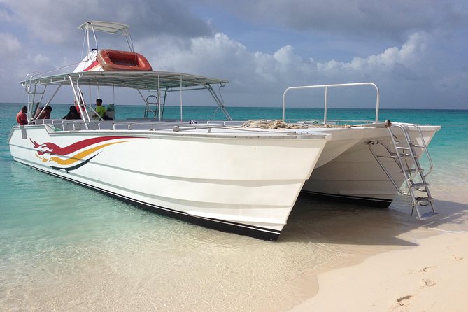 Grand Turk: Whale Watching - Price in plain terms: does $200 offer good value?