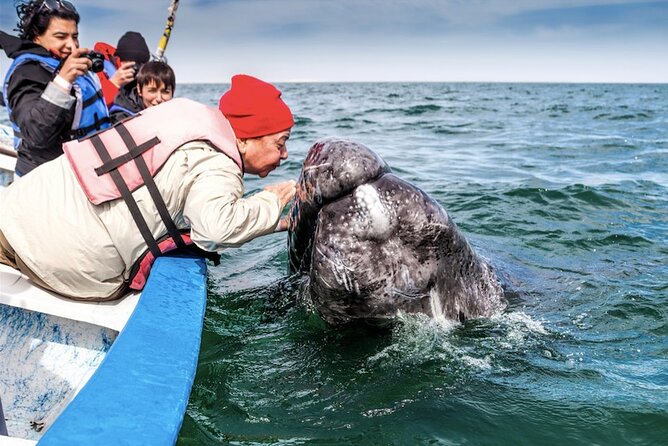 Gray Whale Watching Expedition at Magdalena Bay - Puerto Chale departure at 9:00 am: the part that sets the tone