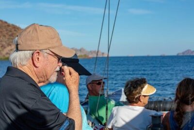 Gray Whale Watching Tour at Lopez Mateos - Magdalena Bay and the 2-Hour Boat Window: What You’ll Actually Do Out There