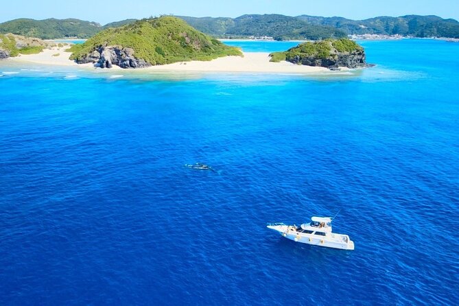 Great Whale Watching at Kerama Islands and Zamami Island - 360° Watching: Blow, Close Passes, and the Surprise Factor