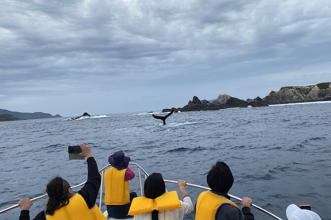 Great Whale Watching at Kerama Islands and Zamami Island - Timing and Season: When Kerama and Zamami Are Most Active