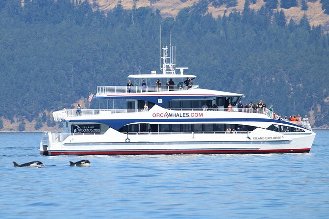 Guaranteed Whale Watch Tour from Anacortes - Why Anacortes works so well for whale watching