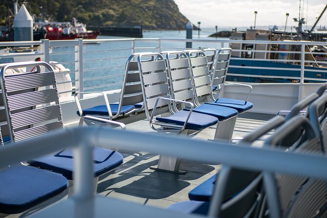Guaranteed Whale Watch Tour from Anacortes - Price and value: is $119 worth it?