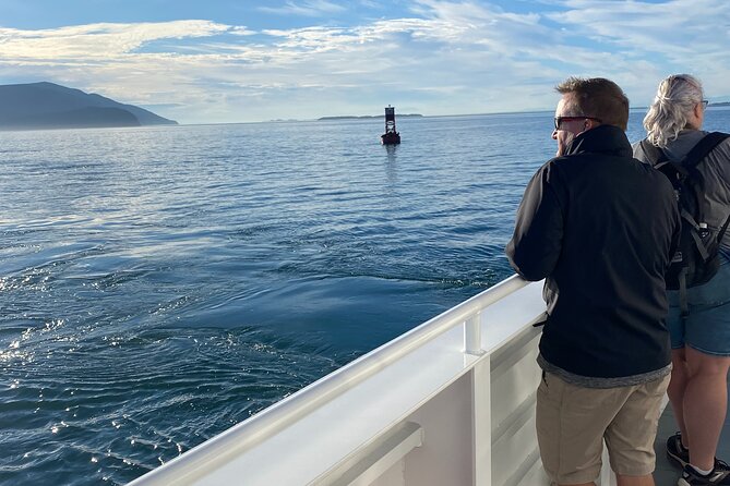 Guaranteed Whale Watch Tour from Anacortes - Practical tips to help you spot whales better