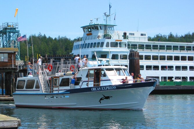Guaranteed Whale Watching Tour - What you may see: orcas, humpbacks, and the “whole food web” view
