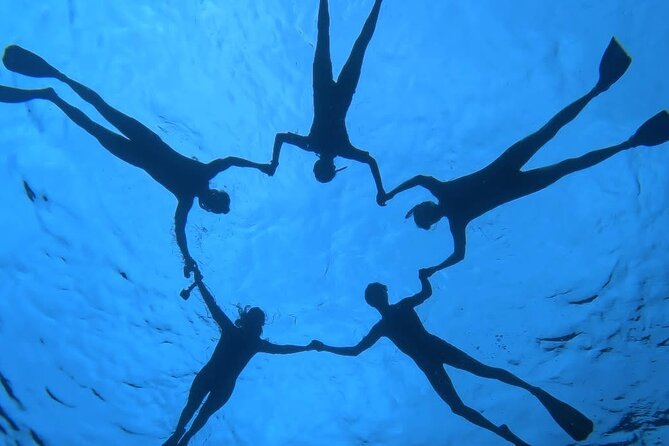 Guided Small Group Whale Watching and Swim Tour Tahiti - The Value Question: What $238.07 Buys You in Real Terms