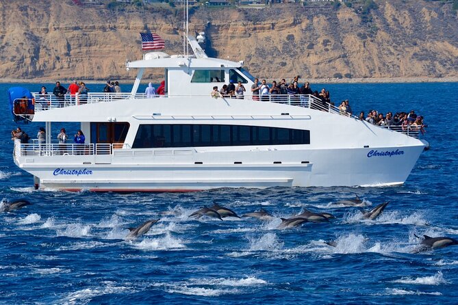 Guided Whale Watching Tour from Long Beach - Educators on Board: Why the Narration Improves Your Chances