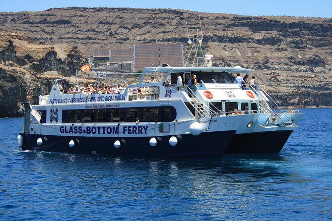 Half-Day Cruise Tour-Dolphin and Whale Watching - Price and value: what you’re getting for about $44.65