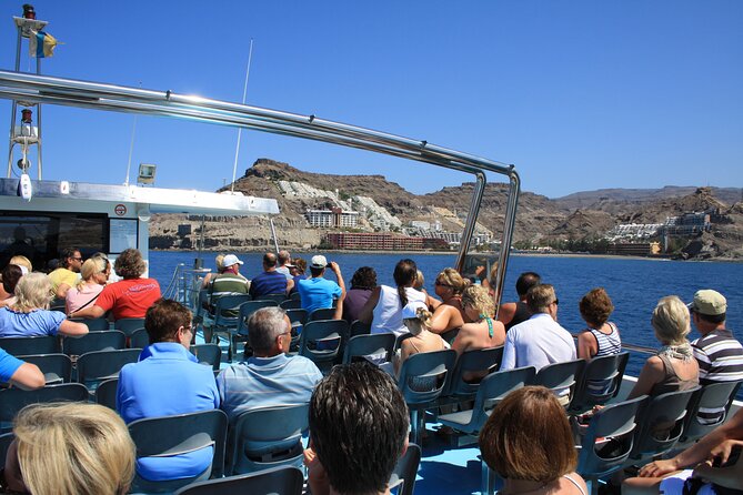 Half-Day Cruise Tour-Dolphin and Whale Watching - Practical tips that make the day smoother