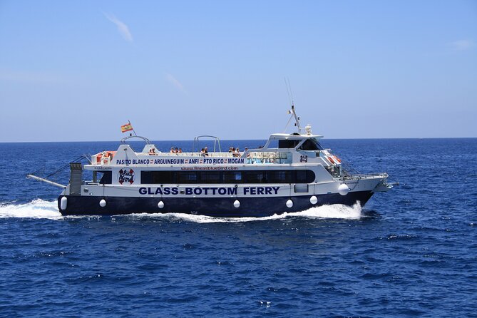 Half-Day Cruise Tour-Dolphin and Whale Watching - Should you book? My straight answer